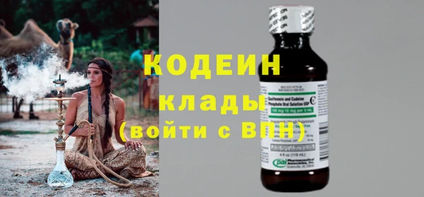 твердый Бородино