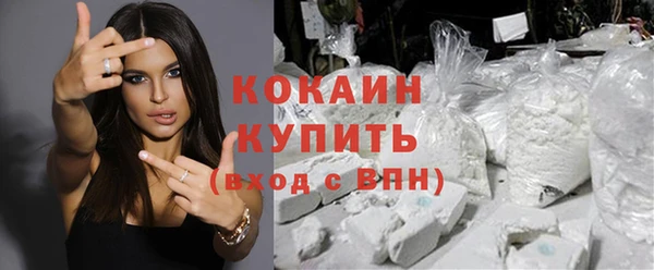 твердый Бородино
