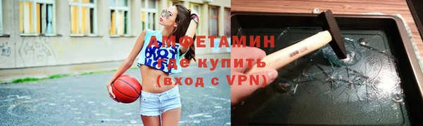 твердый Бородино
