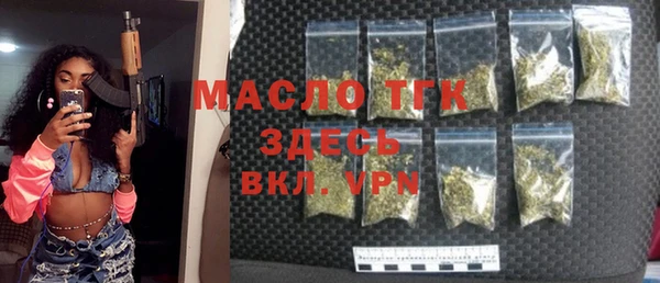 твердый Бородино