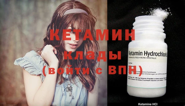 твердый Бородино