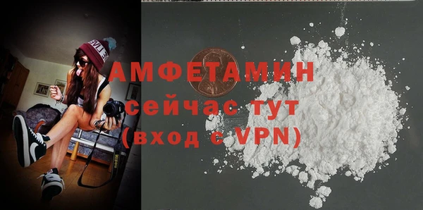 твердый Бородино