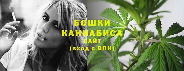 твердый Бородино